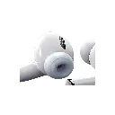 6.webp