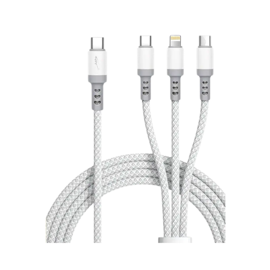 Multi Cable Type C